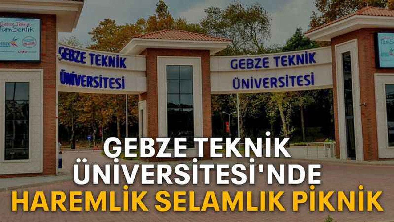 Gebze Teknik Üniversitesi'nde haremlik selamlık piknik